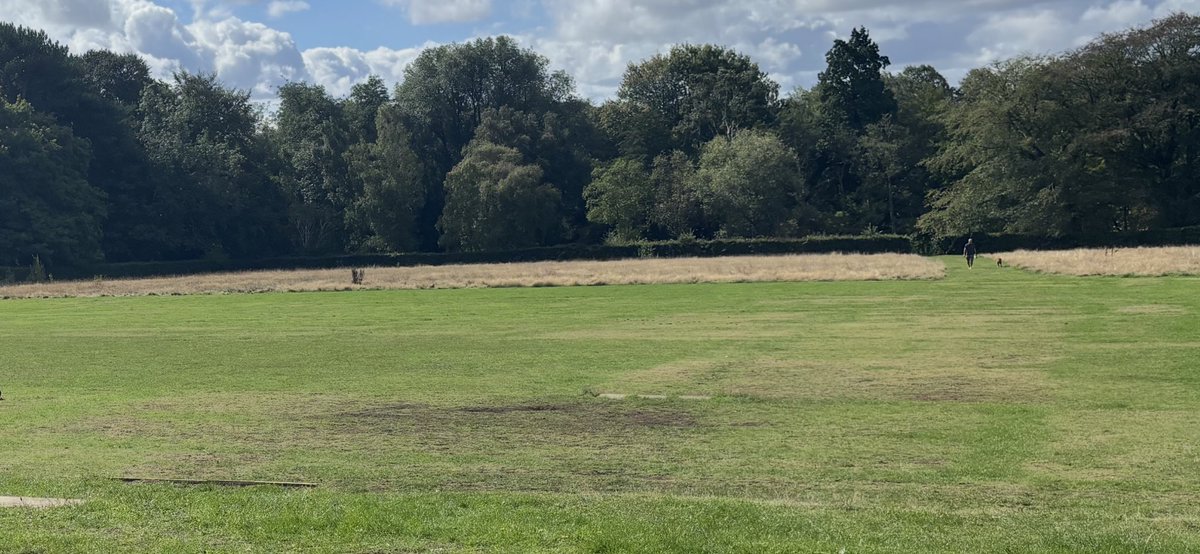 Kenny9Saunders's tweet photo. Picture taken yesterday at Calderstones park after 2 free coaching sessions with 100 + kids with parents and not a water bottle or a piece of litter left lying around, well done to everyone who  helps makes this happen #FreeFootball https://t.co/JyBpV8fLWC