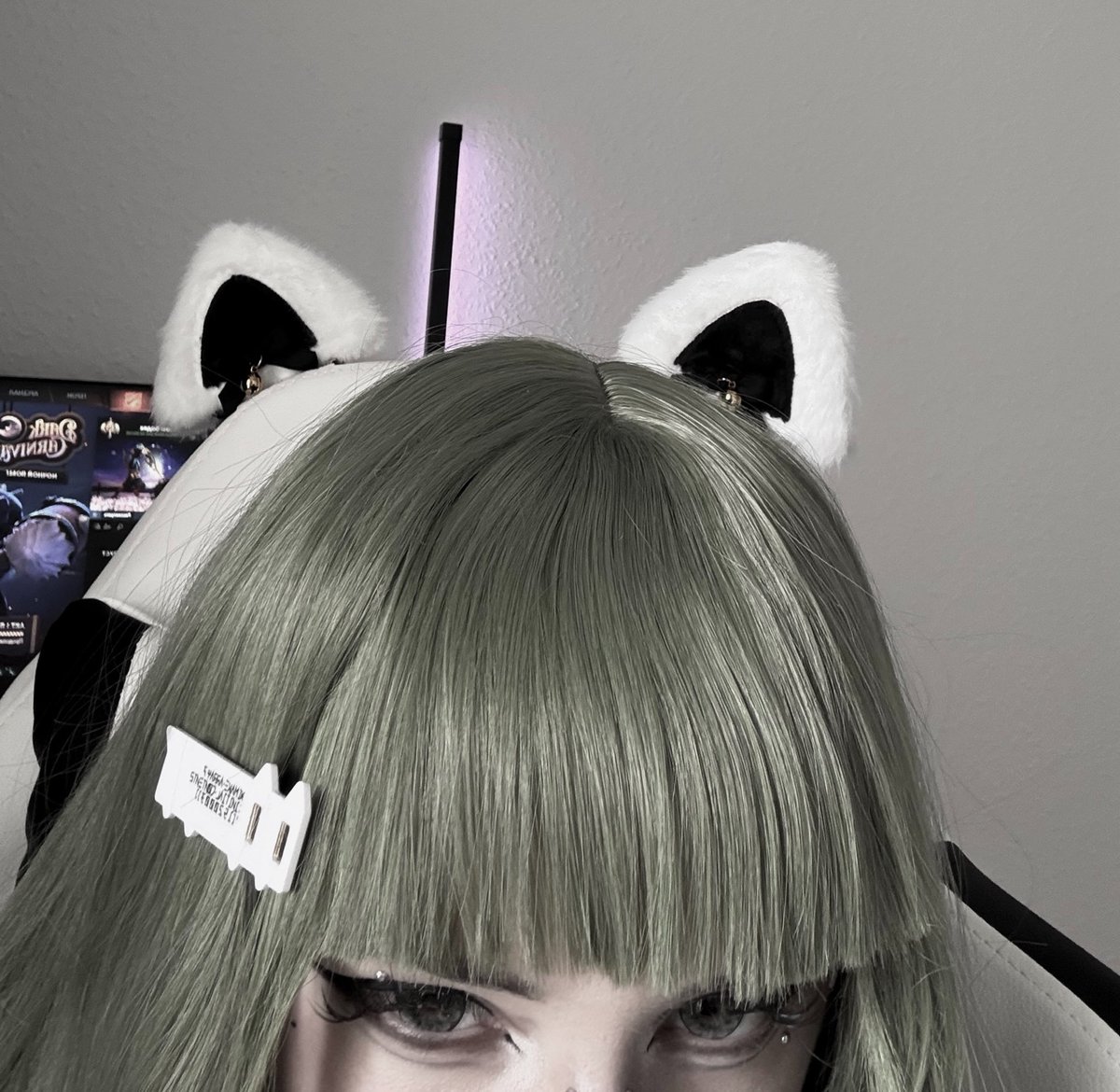 menorixqq's tweet photo. meow^^ https://t.co/1vO4QR9wAf