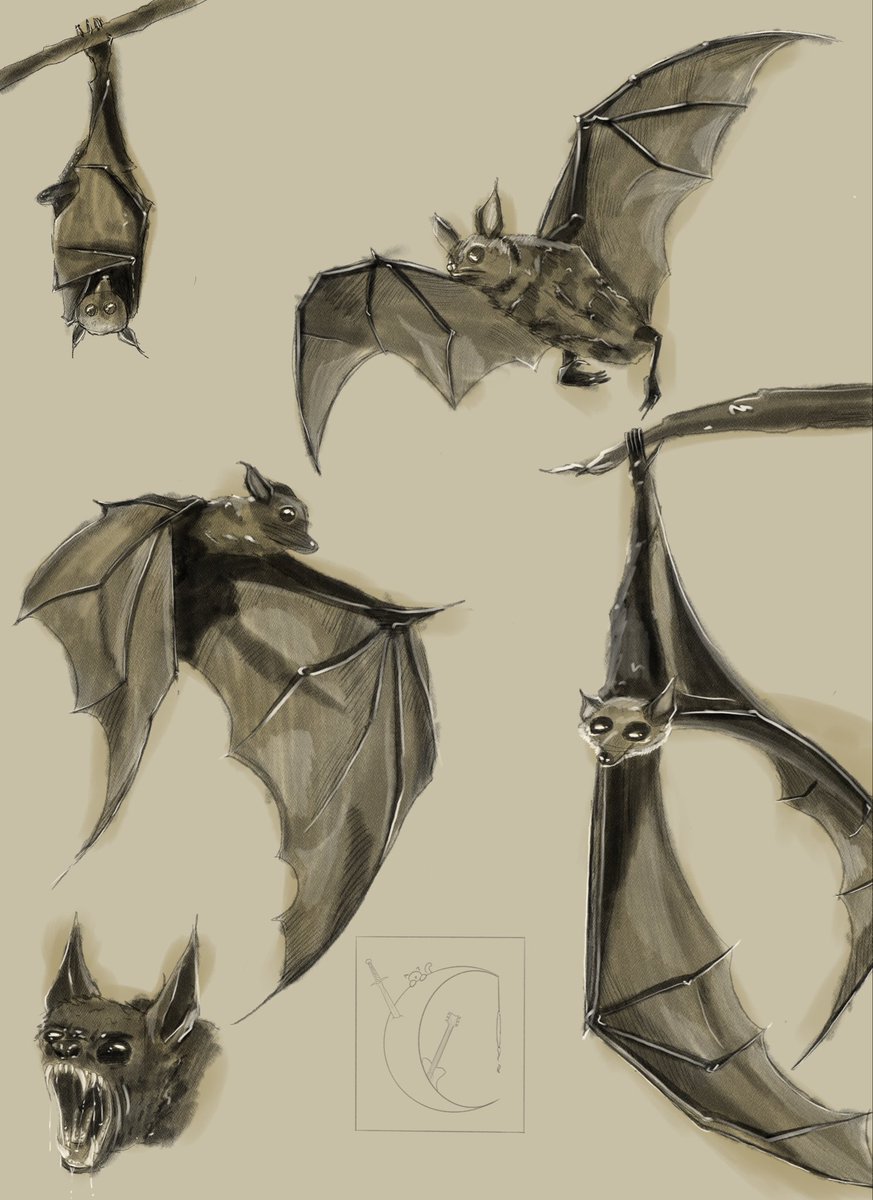 groovyashhell's tweet photo. Batses. Started drawing them as a wing study, but it got out of hand. I can’t stop drawing them. https://t.co/6tmKvtwPnS
