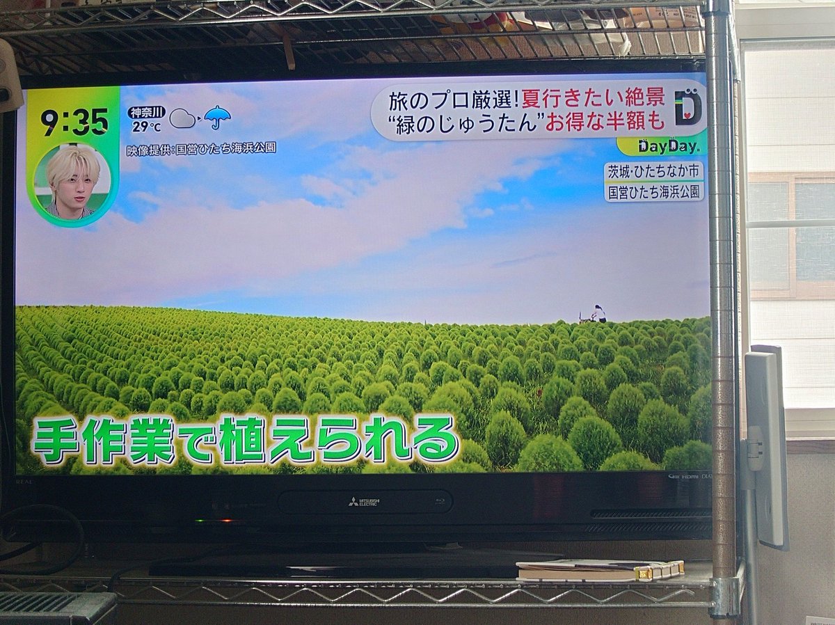 Lems381's tweet photo. 前髪1cm近く切った
3mmで飛ぶんだから1cm切ったらどうなるんだ https://t.co/o3Ohe0gc1P