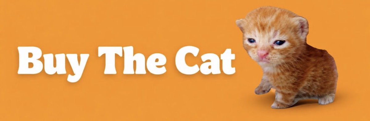 EricCryptoman's tweet photo. Happy Sunday.

Did you buy the cat yet or nah?

Nearly $2000 in bitcoin:native rewards in 12 hours 🖨️ 

@BTCbuythecat https://t.co/HX9gt2ZzPu