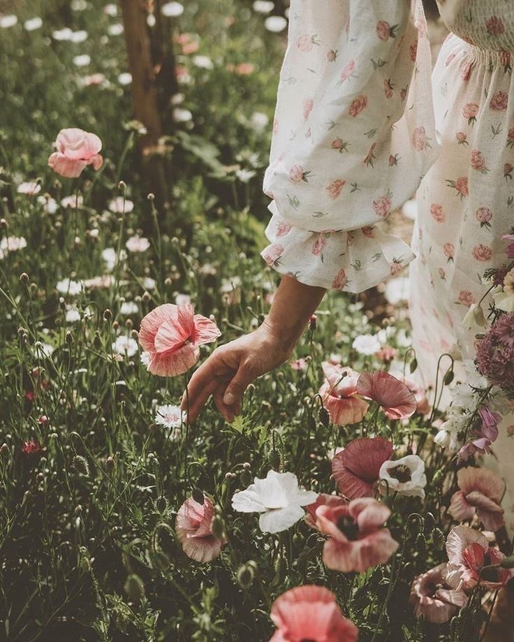 moraimauy's tweet photo. A little Peaceful 🌸 https://t.co/K0VxBCRTZp
