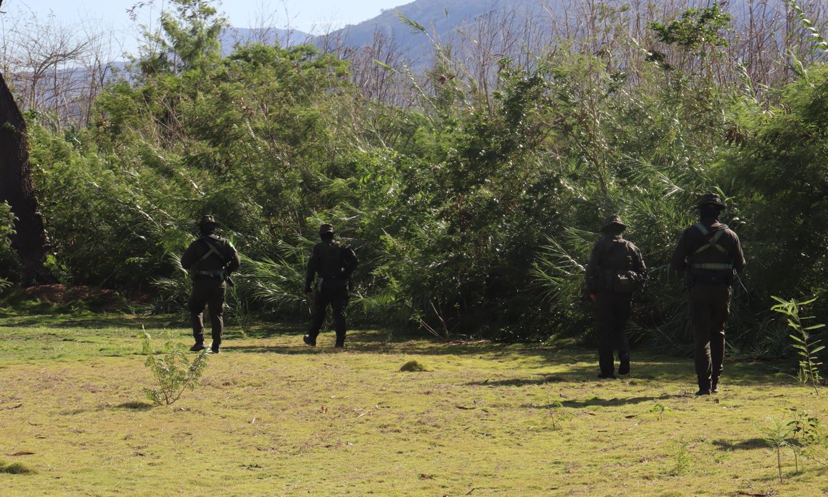 PoliciaCucuta's tweet photo. 🚔🚨Con el #PlanBlindaje no hay espacio para la ilegalidad. Nuestro Grupo de Operaciones Especiales #GOES intensifica patrullajes y verificaciones en cada paso informal de la frontera.

Continuaremos con presencia constante y control absoluto. 👊🏼👮🏻‍♂️ #Seguridad https://t.co/S5J9gOq3pC
