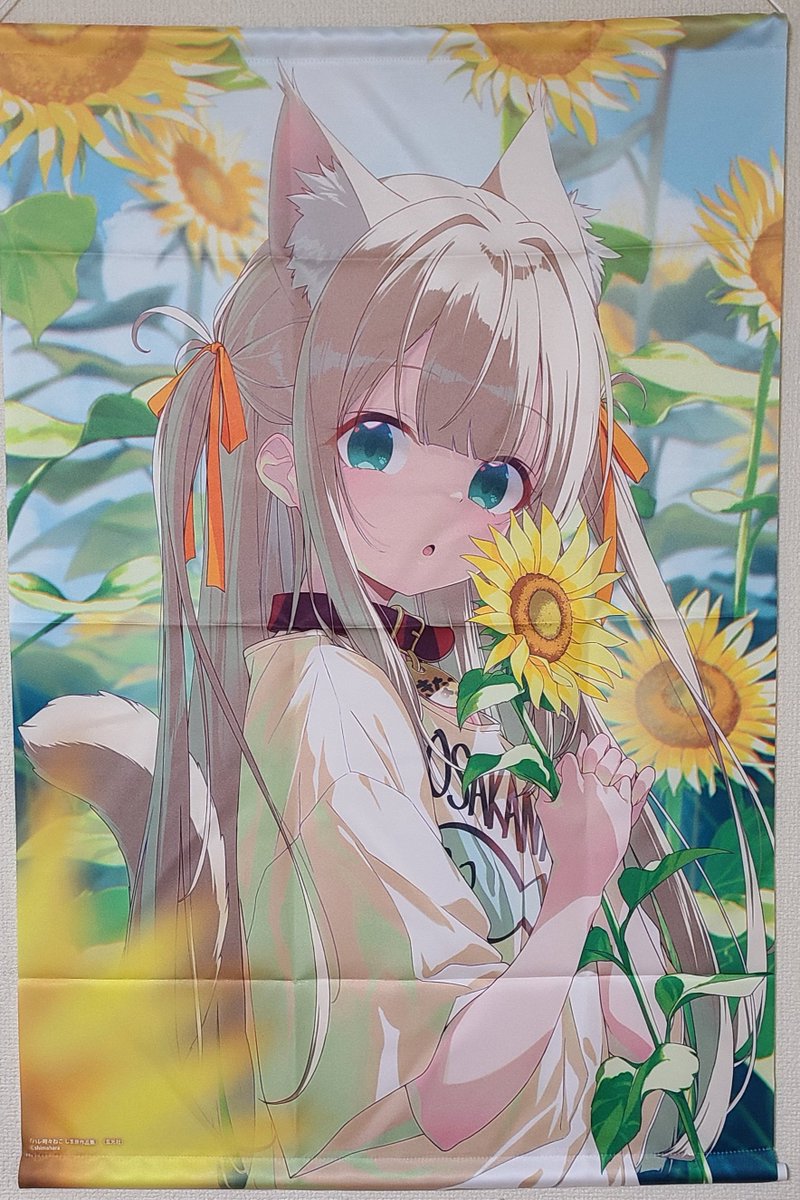 kashitaku4's tweet photo. しま原(@40hara)先生の初画集✨✨

『ハレ時々ねこ しま原作品集』

メロンブックスで購入しました😌

きなこちゃんかわいい～😹

初音ミクなどのイラストもあって良かったです👍️

特典のB2タペストリーとポスターはA3サイズのフレームに入れて飾りました☺️

#うちのねこが女の子でかわいい https://t.co/7h1pcB4qVr