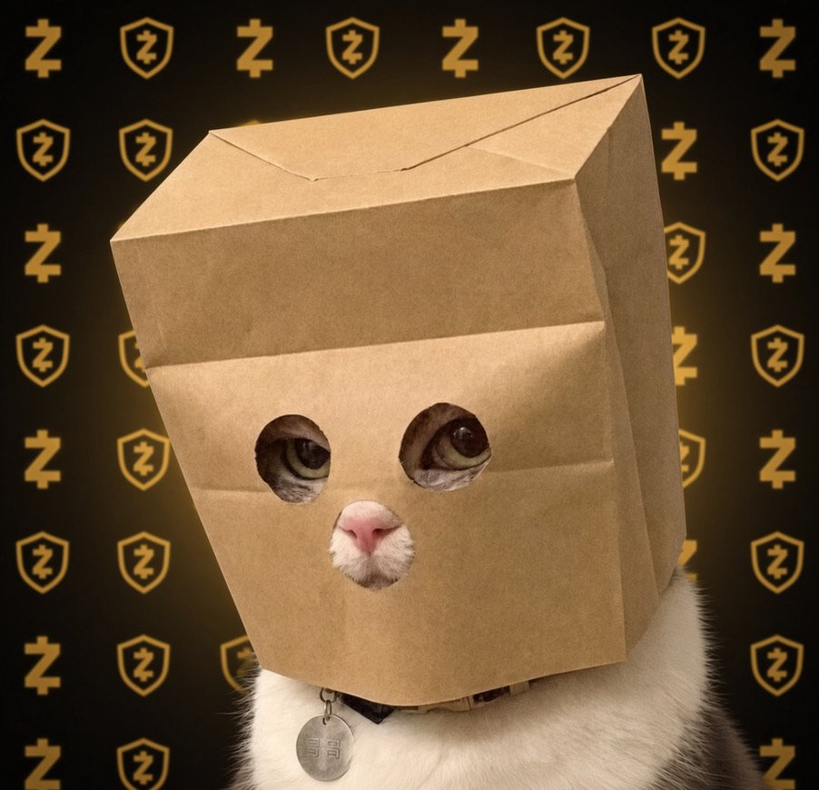 CryptoCurb's tweet photo. solana:HcRLc9VDgjLeK154xDawfb1dmVJ98DoSqcwTHGqiDeJR is airdropping me 5+ $ZEC per day ($5,000+/day)

incredible memetechs.

zillionz. https://t.co/qyPqBiC9CS