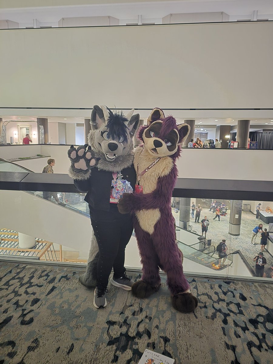 PipTheDutchie's tweet photo. Had a blast at IFC, it was so good seeing all my friends again 🩵💙

#IndyFurCon2026 https://t.co/87o269pErd