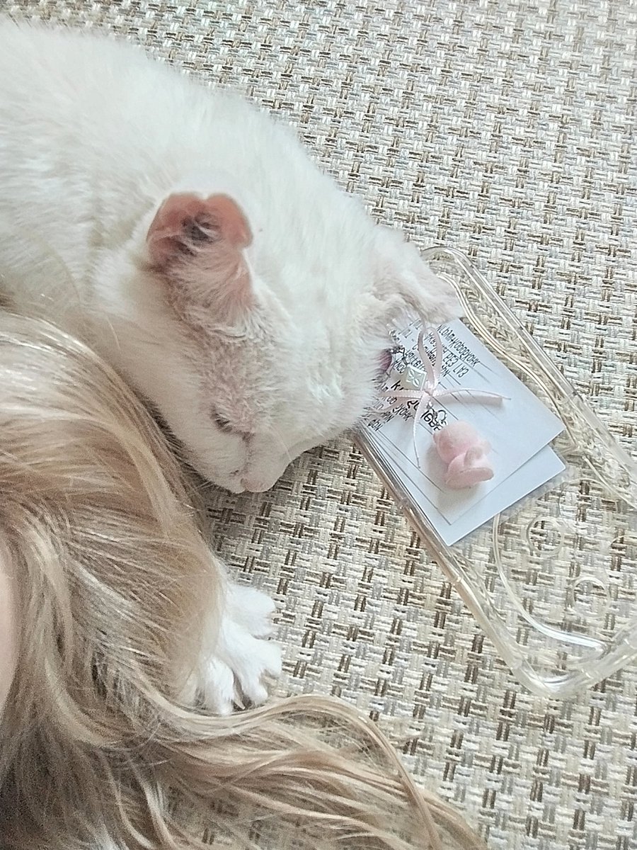melsalt_'s tweet photo. 😴😴😴 https://t.co/lS05UwdHwA