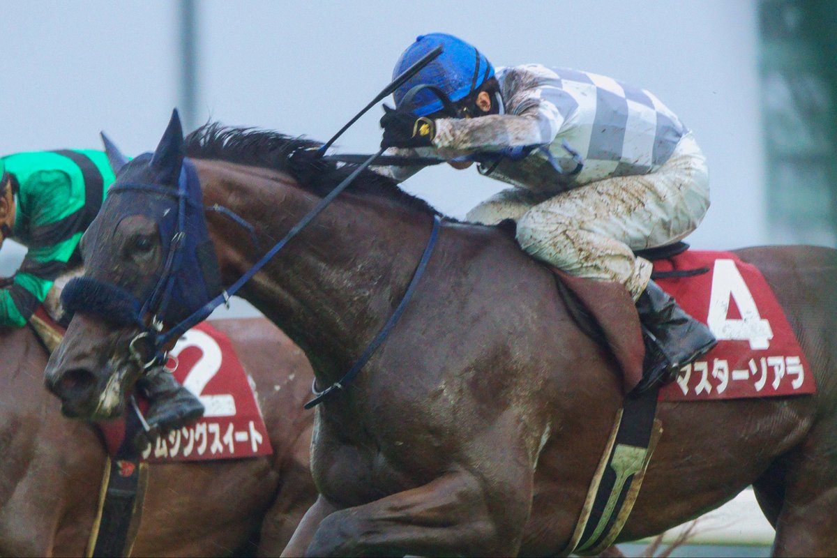 arudan_n's tweet photo. 開幕週でもここまで雨が降ると3歳牝馬には過酷な馬場だったかな。それをまだ浅いキャリアでもこなしたんだからあらためて良馬場での切れ味を見てみたい。
#マスターソアラ 
#紫苑ステークス 
#紫苑S https://t.co/GPWluDWAkM