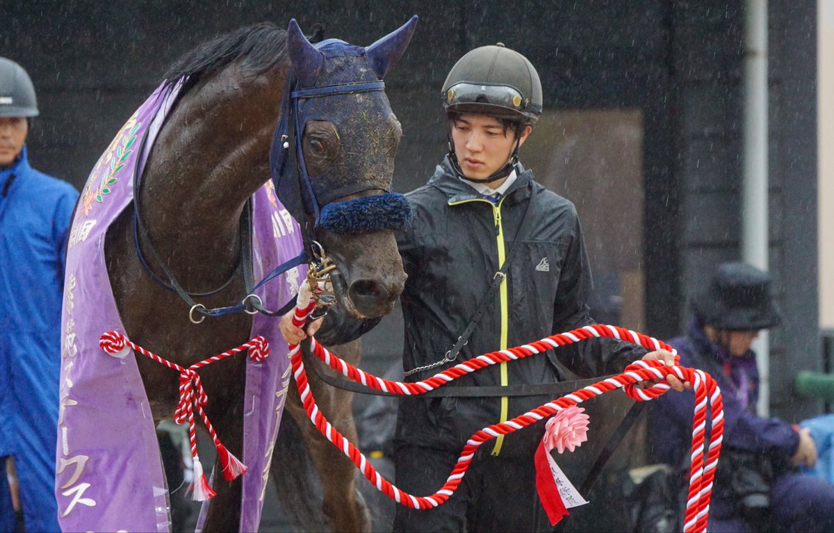 arudan_n's tweet photo. 開幕週でもここまで雨が降ると3歳牝馬には過酷な馬場だったかな。それをまだ浅いキャリアでもこなしたんだからあらためて良馬場での切れ味を見てみたい。
#マスターソアラ 
#紫苑ステークス 
#紫苑S https://t.co/GPWluDWAkM