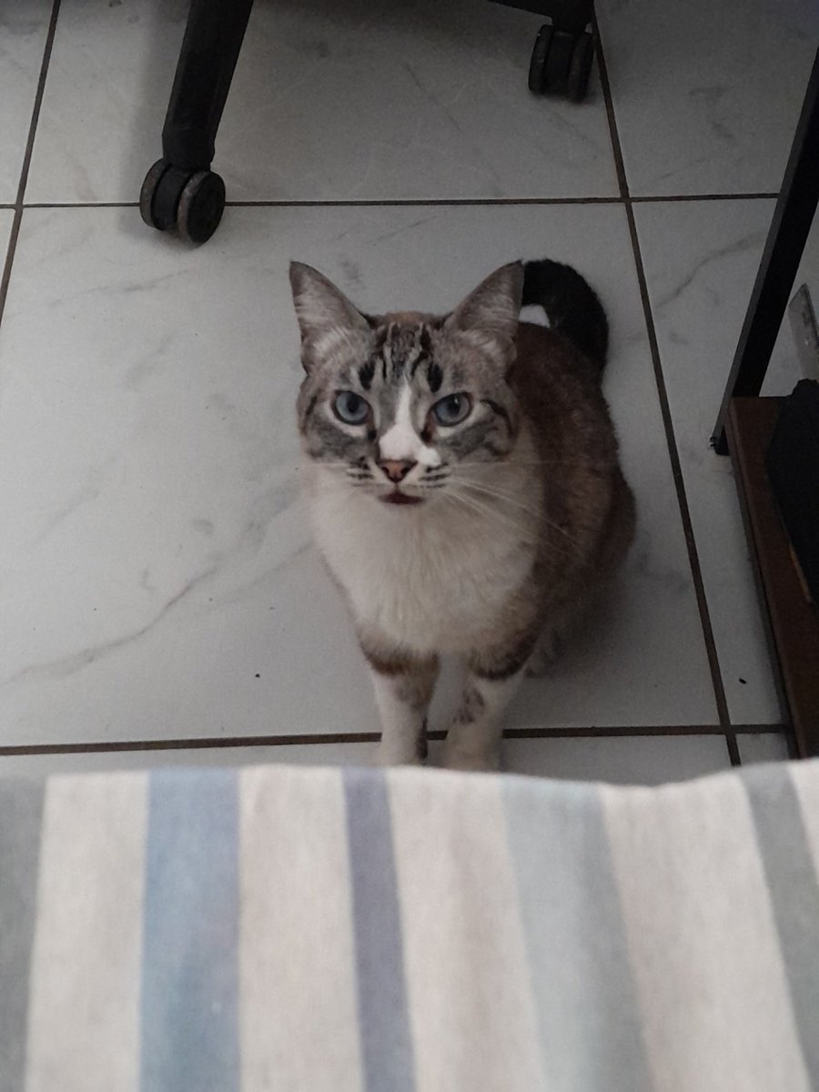 acervpriscilla's tweet photo. @l0rdegf perceba a cara dela https://t.co/T7Ob1RM0mM