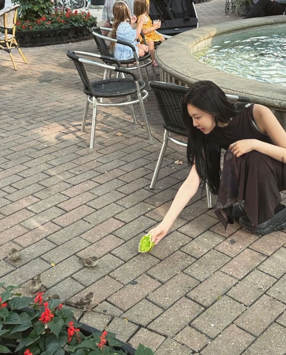 crpsegff's tweet photo. your girl mei out here all alone trying to make friends with grass muffin https://t.co/4pUMahbeFM