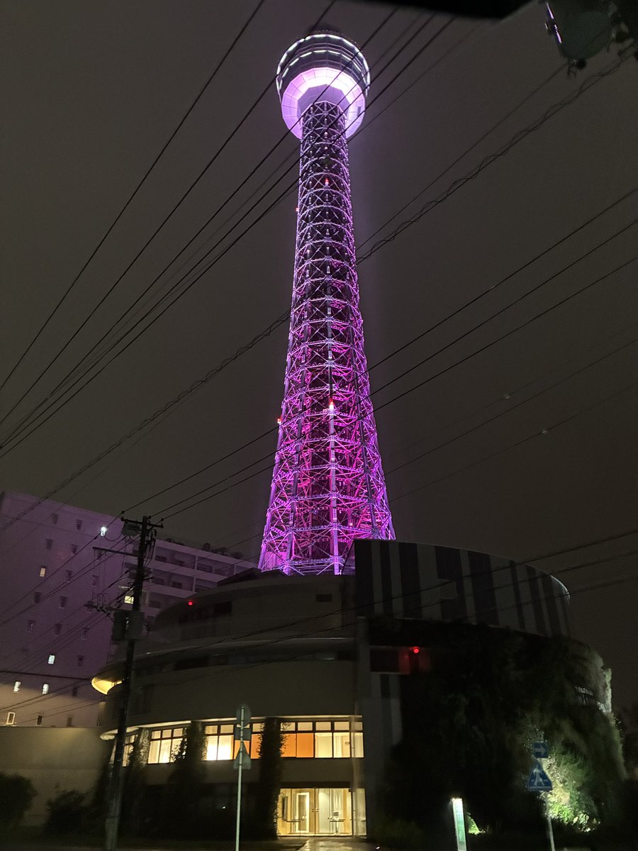 B_Zero9's tweet photo. 花譜カラーにライトアップされた横浜マリンタワーを見てオレたちのライブは終わり。
マオトさんありがとう！ https://t.co/J7Tc4EHk1d
