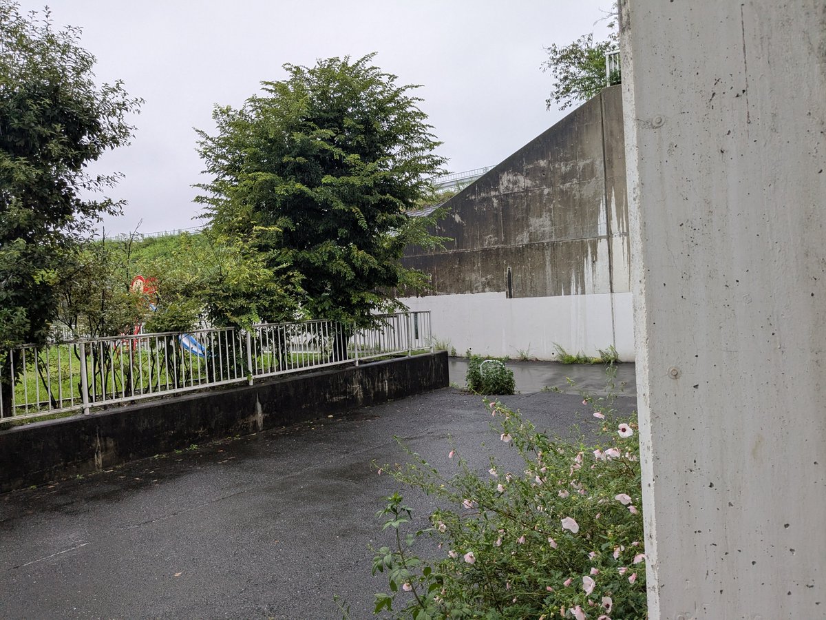 tomy_komatsu's tweet photo. 桃瀬の波への告白現場。藍美目線で。　#霧尾ファンクラブ #狛江市　
@kirio_fc https://t.co/QMYMOjErlA