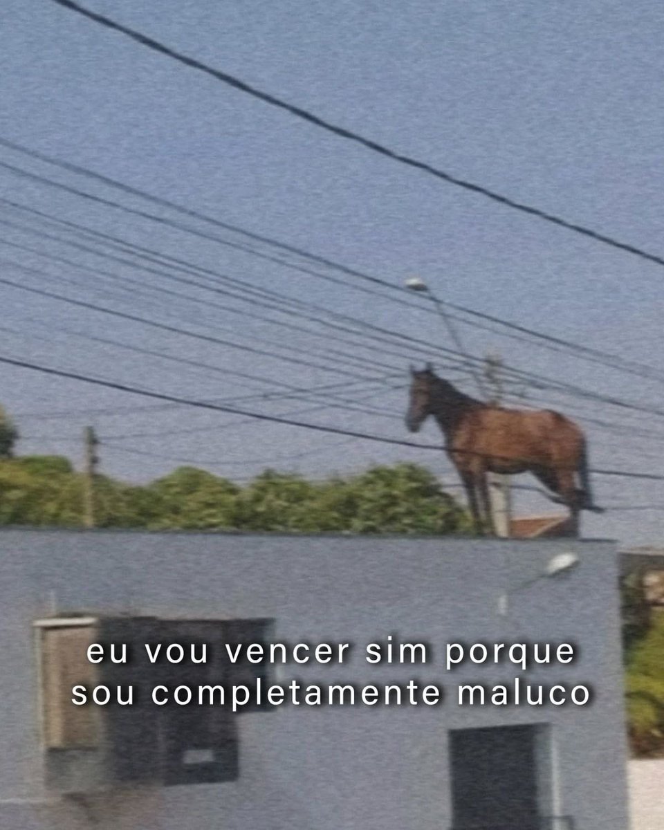 shitpostverdade's tweet photo. https://t.co/0Rm4IYI8C2