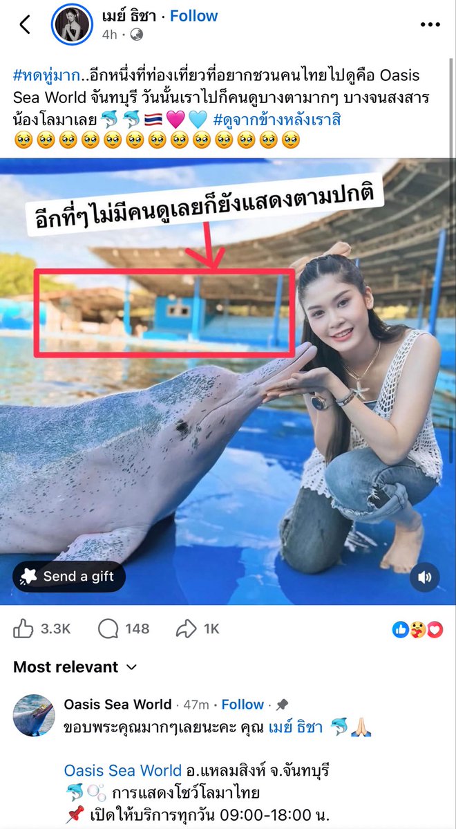 foozfan9's tweet photo. ช่วยแชร์ค้าบ แมสทีเถอะะะ https://t.co/NrqRosswqa