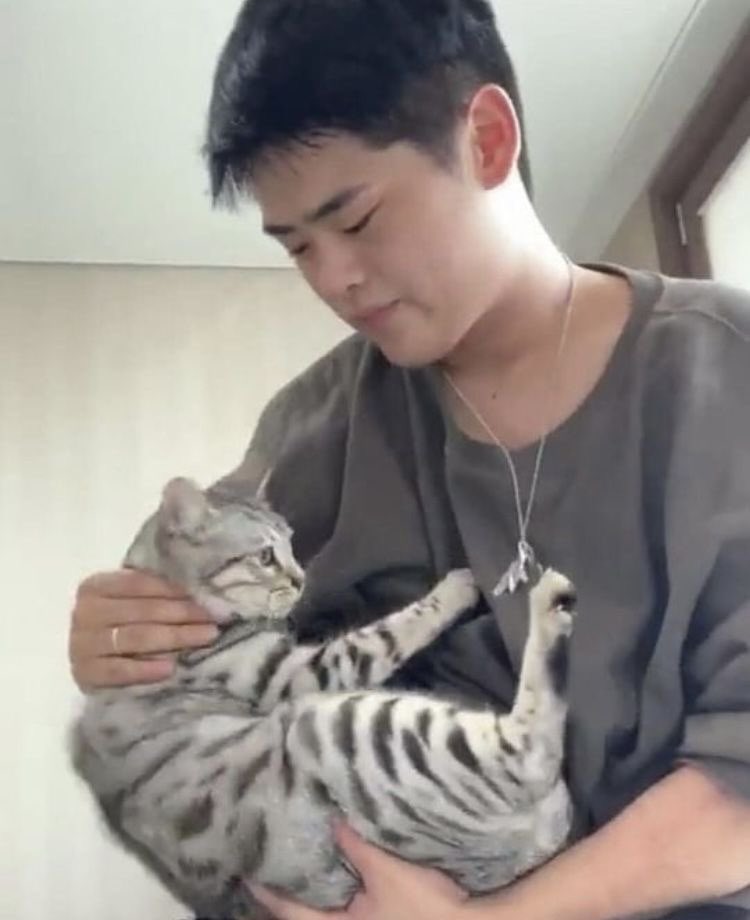 thaunkk's tweet photo. 앞머리로 눈 덮고있던게 엇그제 같은데 왜 키위가 있음?? https://t.co/8k8qcRDLe1