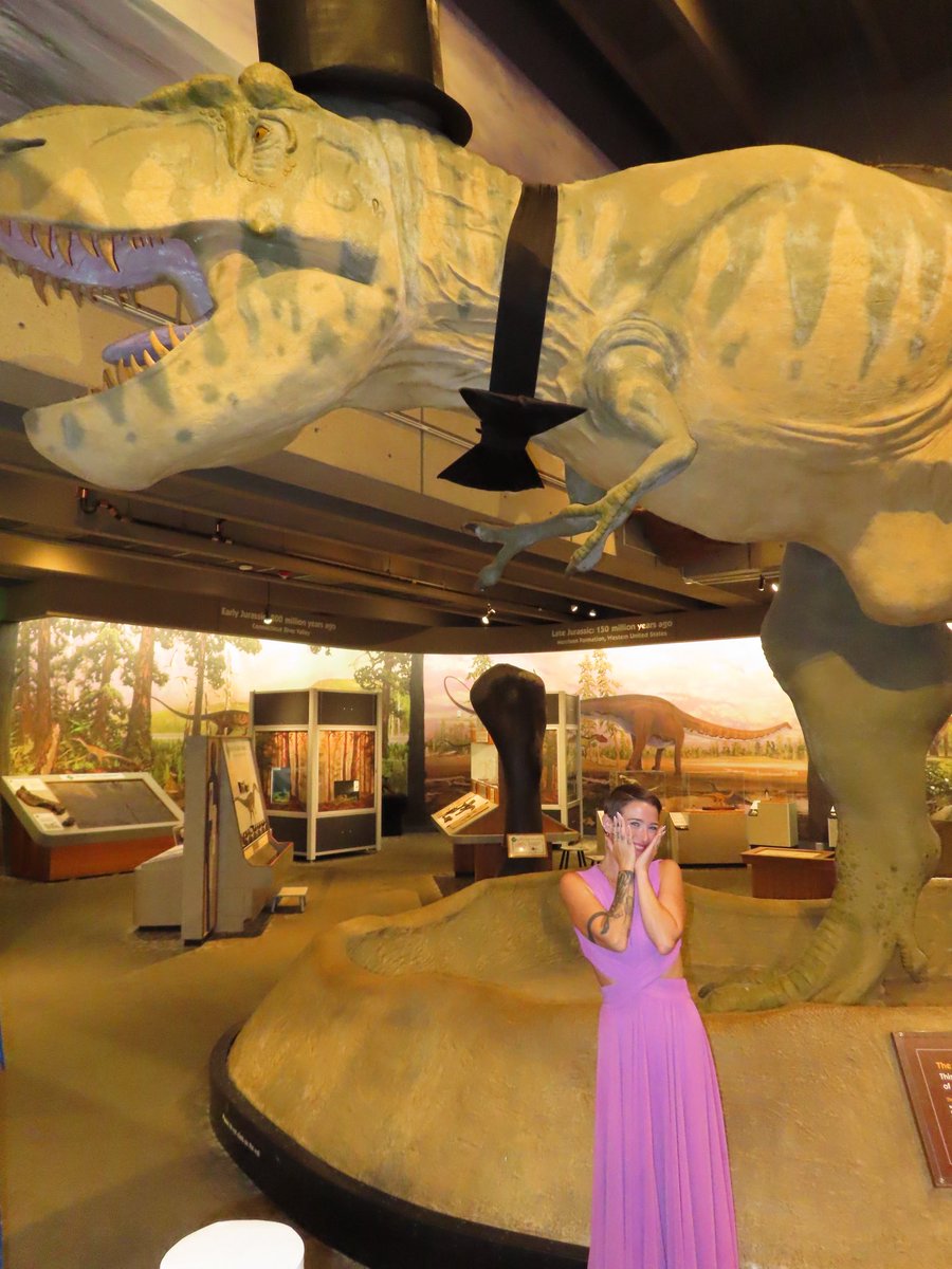 tyyler47's tweet photo. I went to a wedding at the museum of science and it was fucking awesome lol https://t.co/SC0BKC6xWz