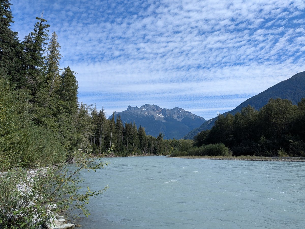 Demon_Realms's tweet photo. Was many km inland and spied a harbour seal swimming up the river determinedly. Swim hard little seal, salmon awaits.. https://t.co/KTJ3ZqP4lp