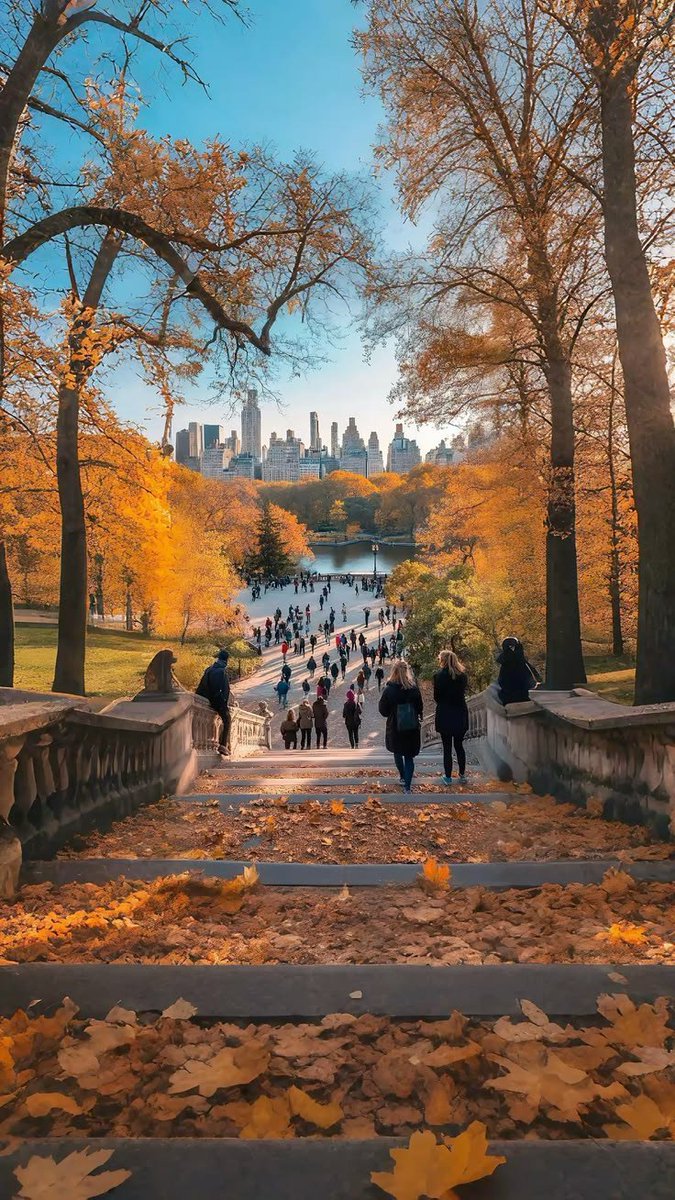 ____flowers__'s tweet photo. Autumn in New York 🇺🇸 https://t.co/MFaf9xm89S