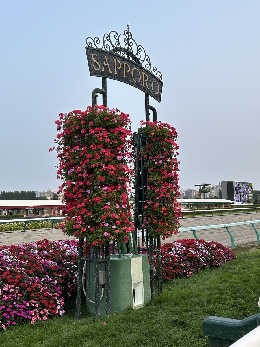 ryo_kuru05's tweet photo. 札幌競馬最終日の芝コース開放に2年ぶりに参加してきた https://t.co/ngegyZGfR0