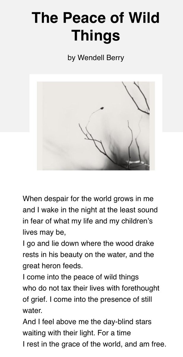 HalpoDavey's tweet photo. The writer and poet Wendell Berry died last week. There wasn’t anything in the news or on social media.
Sign of the times, I suppose. https://t.co/ULisCHcQiV