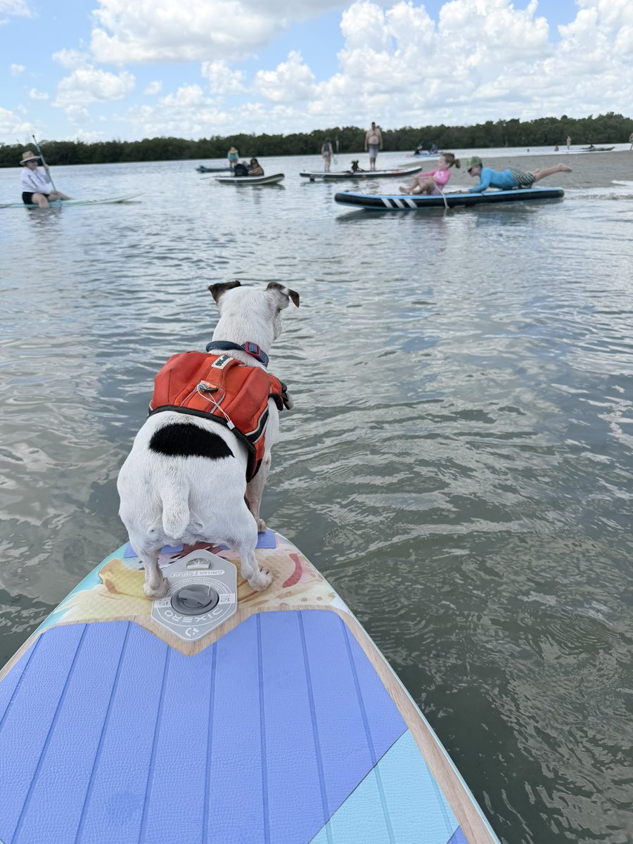 DolphinWave's tweet photo. Happy Labor Day Weekend! https://t.co/Ykf145d1cQ