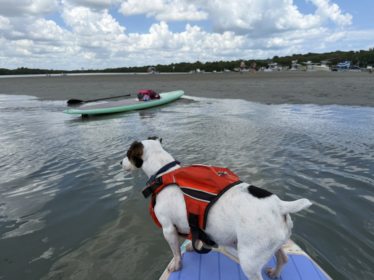 DolphinWave's tweet photo. Happy Labor Day Weekend! https://t.co/Ykf145d1cQ