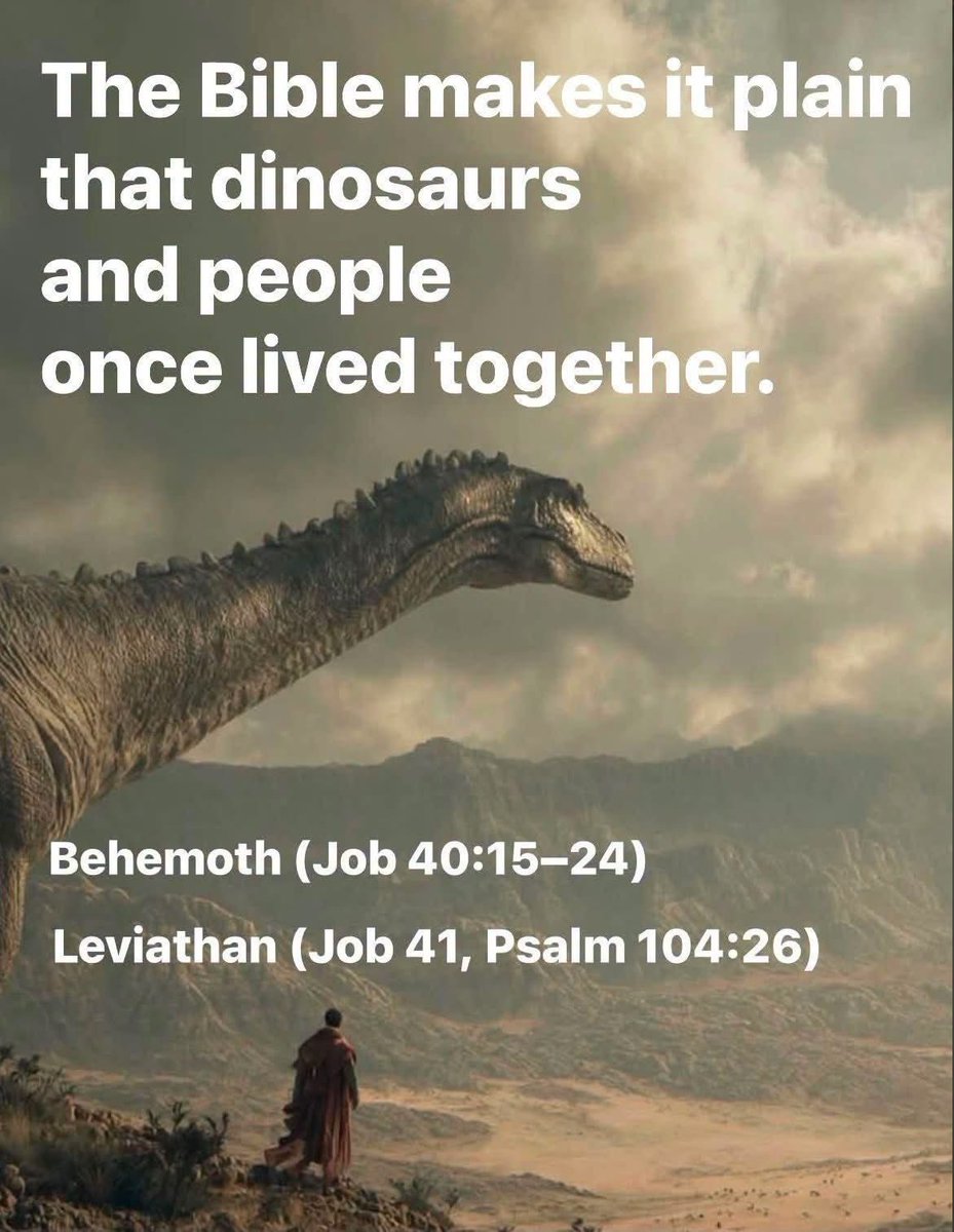 NotEvolution1's tweet photo. Plus there’s that soft tissue business https://t.co/hITOcKcjcH