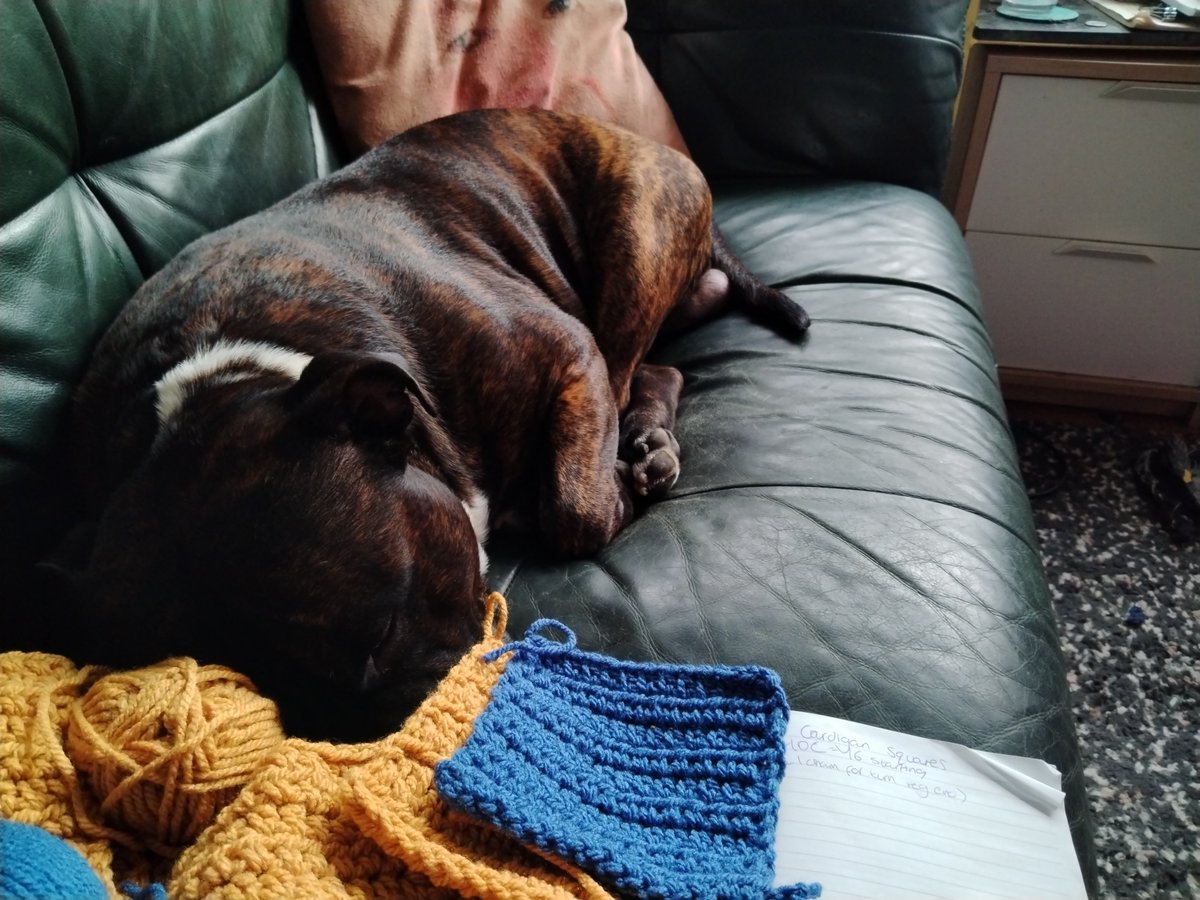justaintjade's tweet photo. He's guarding my crochet project https://t.co/lwFk0CYVcZ