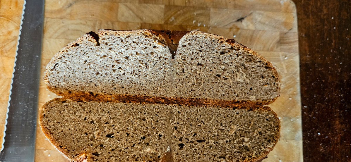 neilbuttery's tweet photo. I've been making some extinct English breads for #sourdoughseptember

This one is Gervase Markham's brown bread. I made it with 50% barley flour, the rest made up of rye, wheat &amp; fava bean flour. Plus salt and water of course. Its the bread you made for your lowest servants. https://t.co/WscsHUQPKb