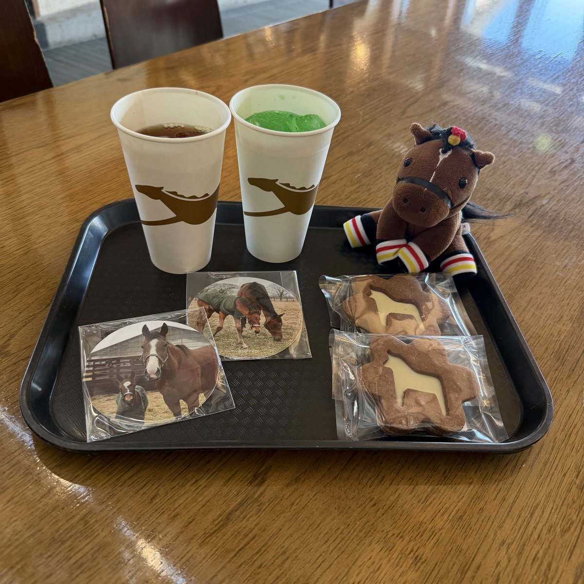 skiskipop's tweet photo. コースター神引きしました。
📍ノーザンホースパーク（6月） https://t.co/FEgjbGarSu