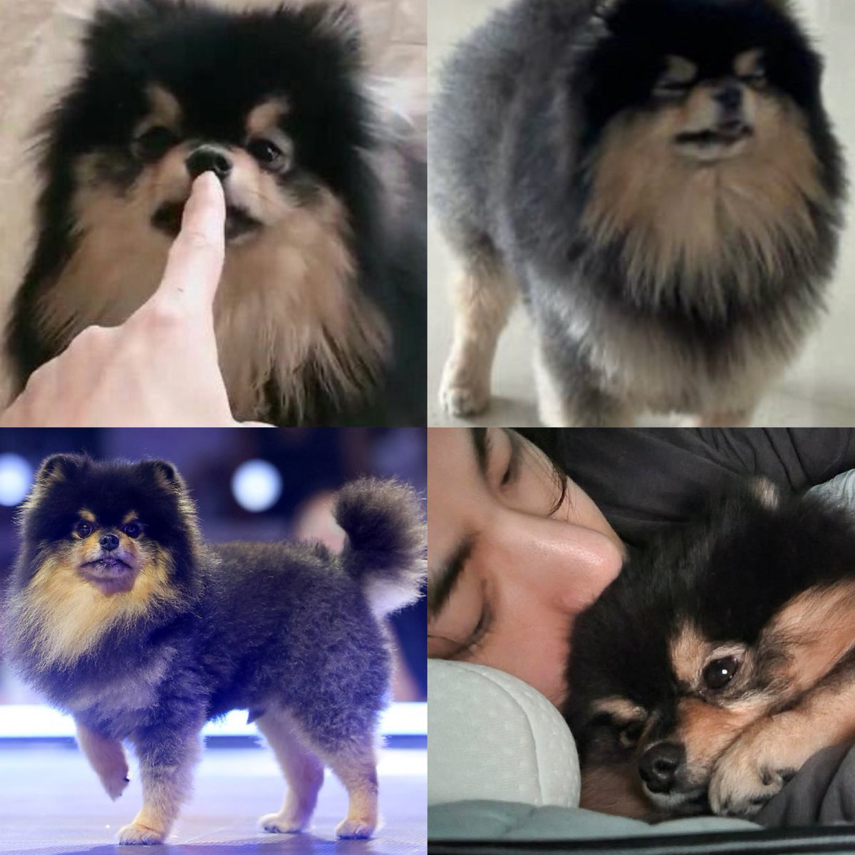 ABJK9019's tweet photo. @jp_taekook_ ずっと大好きなヨンタン
お誕生日おめでとう🎈

#ForeverWithYeontan https://t.co/ZUE5ySyAqf