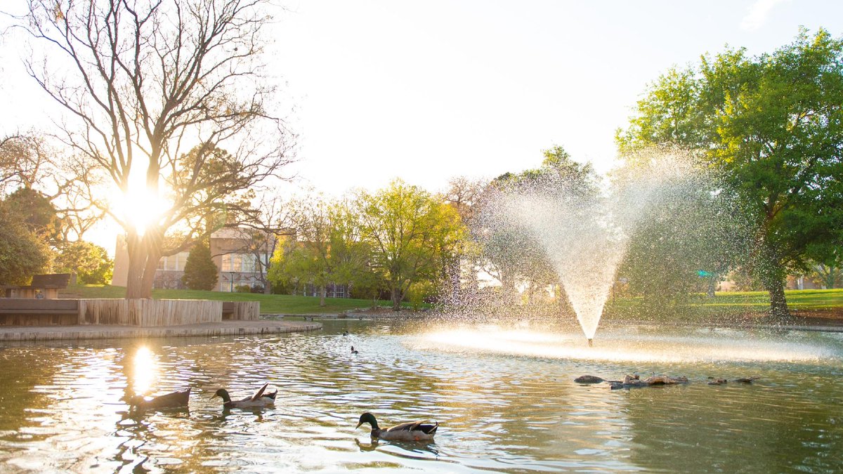 A tranquil duck pond scene at sunset featuring a fountain at The University of New Mexico. Several ducks glide on the water's surface. Tall trees stand on the left, with sunlight streaming through the branches. Lush greenery surrounds the area, creating a peaceful atmosphere.
