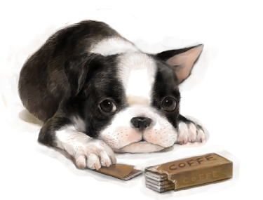 Chariot7Silver's tweet photo. Fotos reais do meu cachorro iggy , ele adora esse chiclete de café https://t.co/JLO55y2vHw