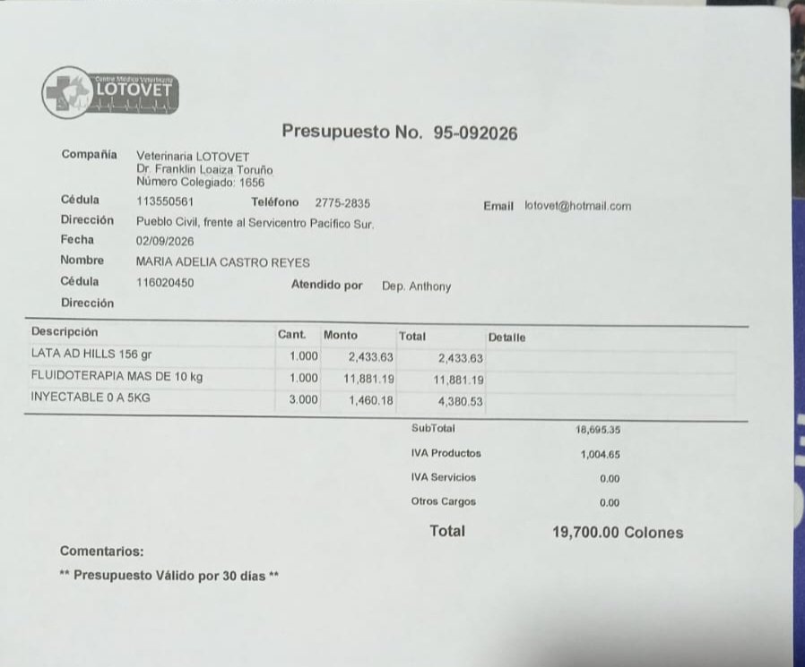Mriadelia's tweet photo. @AlePereiraL Un abono, le pido disculpas Ale pero queria pedirle una ayuda si esta dentro de sus posibilidades sea mil 2 mil lo que este a su alcance para tratar de recaudar e ir pagando algo de esto, gracias https://t.co/8m6B2ViLn4