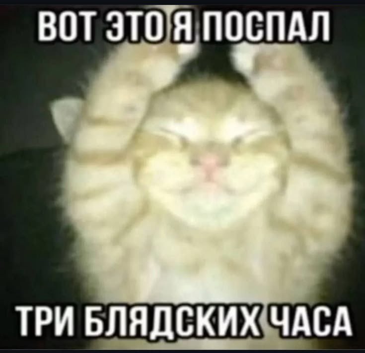 Hotafr7x's tweet photo. Крути люди сладких снов https://t.co/5YcYiaTagl