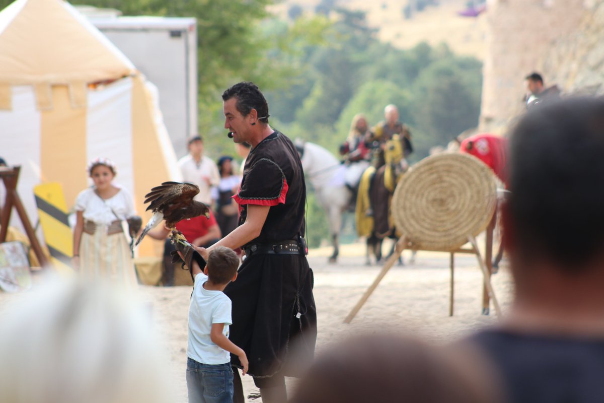 Avila_CyL's tweet photo. Entre el batir de alas, el susurro del viento y la mirada penetrante de las aves #rapaces, la #cetrería volvió a coronarse como una de las #tradiciones más fascinantes del Ávila #Medieval.
+ Fotos https://t.co/xAcYMaVOwL #ÁvilaMedieval #Cetrería #Ávila #MercadoMedieval https://t.co/QxAVq1p8e2