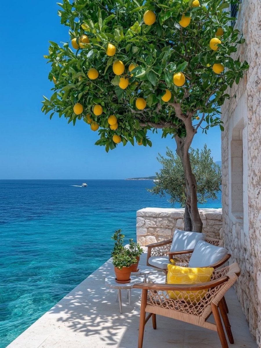 ey_79's tweet photo. #limon #deniz #Eylül https://t.co/ncjJszGzhm