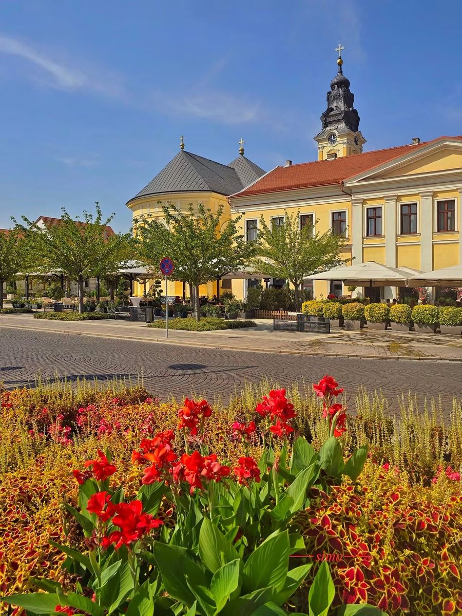 Travel_2Romania's tweet photo. Roșu...în Piața Unirii, azi!🌿🌺🌿🌺🌿🌺🌿
O zi frumoasă,#Oradea !🤗❤️
#VisitRomânia #România
📷Popovici Carmen Simona https://t.co/9xvkT5OIaQ