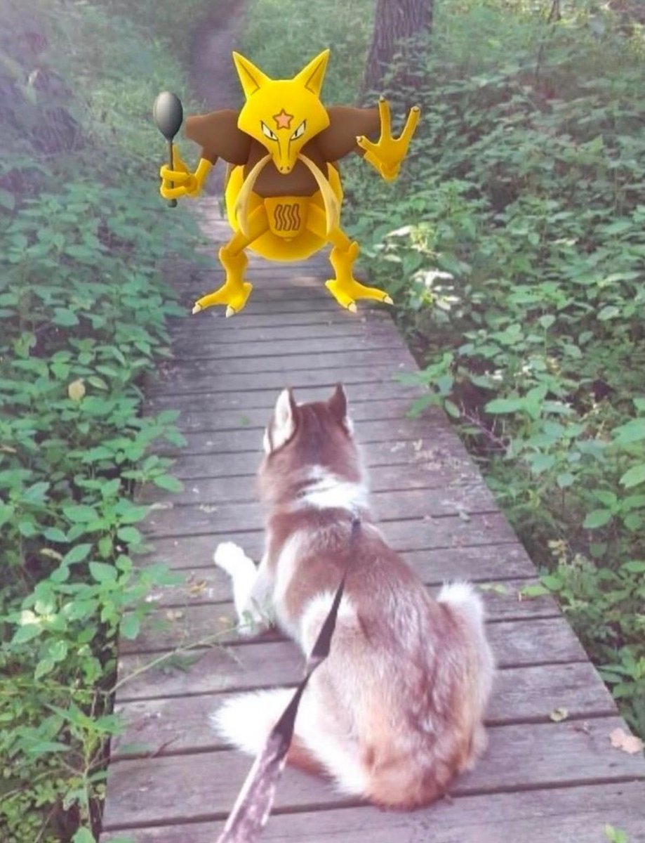 internetpreai's tweet photo. Pokémon GO https://t.co/Y2qk8bEvSp