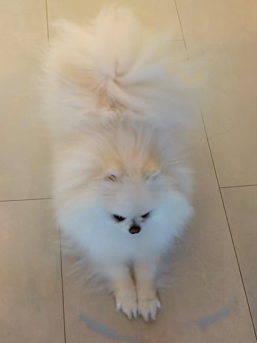 chanheeara's tweet photo. - is it more comfortable sending this way?
- 📸
- 📸
- stretching domdu
- im going to take a nap now
- i have to start working hard syarting from tomorrow~~~~
- bye i luv u🤍 https://t.co/F4iymapxuy