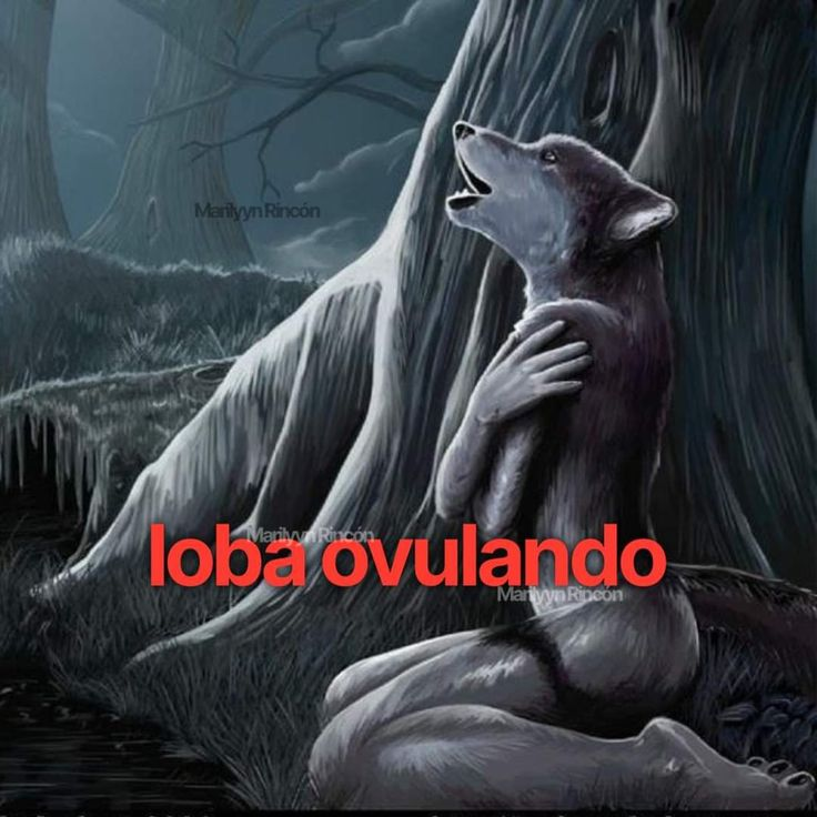 losaifos's tweet photo. chei de ódio na xrc https://t.co/8xEa67ctw5