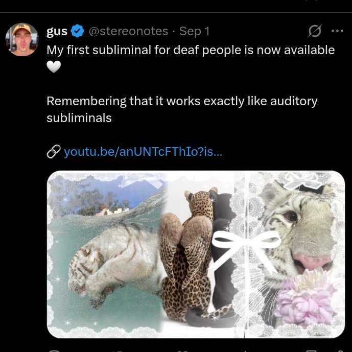 conjurios's tweet photo. em vez de ficar postando abobrinha vamos apoiar o trabalho incrível q o gus se dedicou a fazer: subliminais inclusivos para pessoas com deficiência auditiva https://t.co/7dB35trUdG