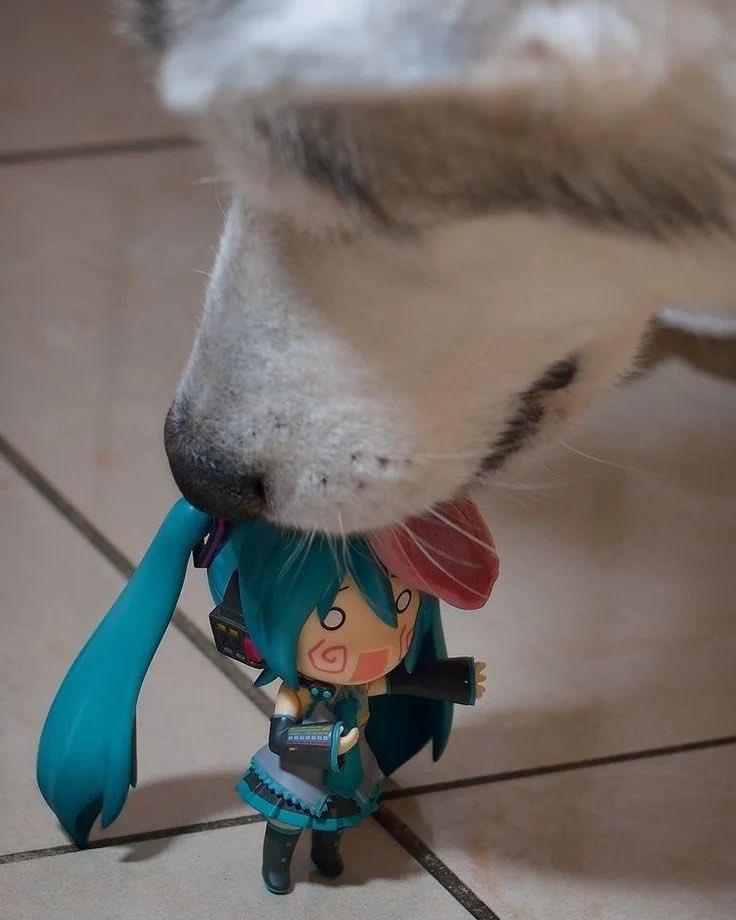 HatsuneMiku's tweet photo. AAAAAAAᴬᴬᴬᴬᴬ⁻ https://t.co/ILOZTv6ExQ