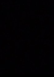 BLACKEDHUNTR's tweet photo. ㅤ
ㅤHer hunting ground is the 𝐠𝐡𝐞𝐭𝐭𝐨 
ㅤbtw.
ㅤ
ㅤJust in case it weren't obvious ~
ㅤ https://t.co/np3flKPI15