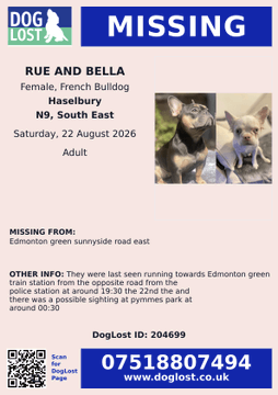 millypod1's tweet photo. 🆘22 AUG 2026 #StillMissing BELLA #ScanMe
Cream French Bulldog Female #STOLEN
Sunnyside Road East #Edmonton #London #N9 #GreaterLondon Last seen running towards Edmonton Green Train Station SEE OTHER INFO ON POSTER
RUE (BLACK & TAN NOW REUNITED)
https://t.co/CQFkVaptfU https://t.co/pvshLJy8JN