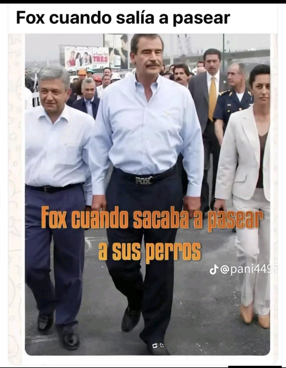 DonInsensato_'s tweet photo. Fox cuando salía a pasear con sus perros 😂 https://t.co/oEIHEr21yt