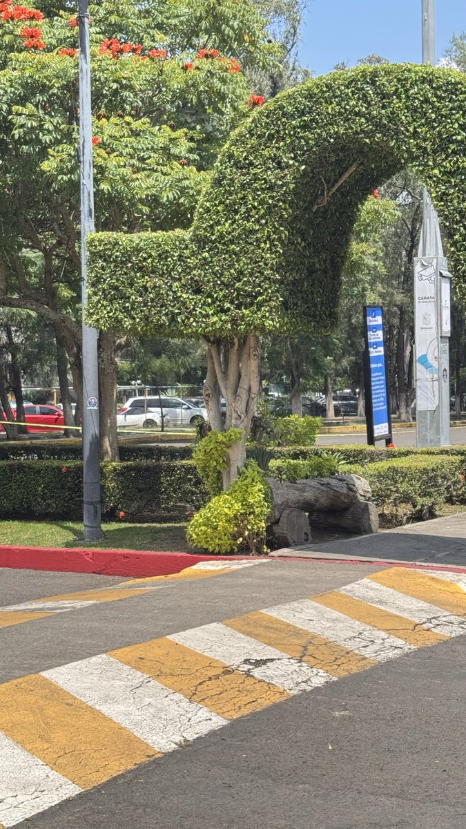 pavelnow1's tweet photo. Él estacionamiento vacío y apartado para los eventos , ya se volvió particular también ? Quien controla la entrada ? Son empleados de gobierno ? #morelia @MoreliaGob @Michoacan https://t.co/tQupXukxl9