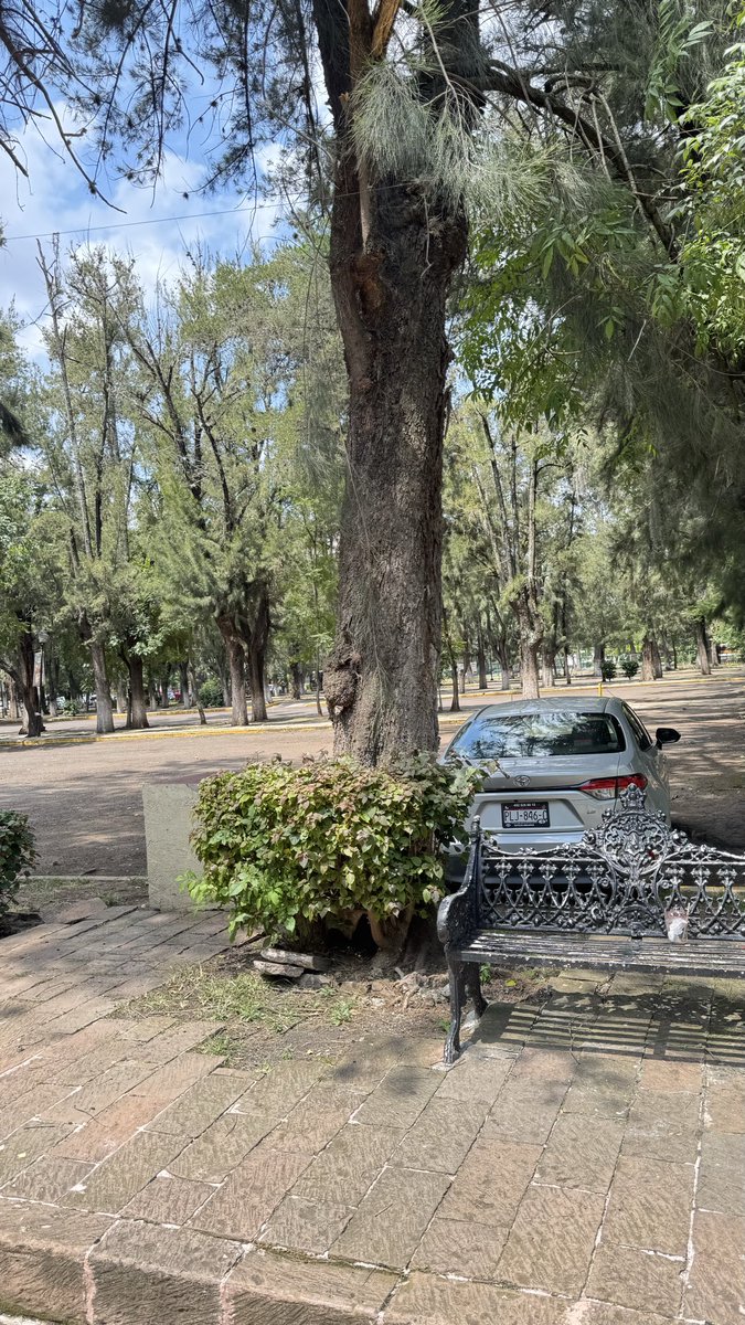 pavelnow1's tweet photo. Él estacionamiento vacío y apartado para los eventos , ya se volvió particular también ? Quien controla la entrada ? Son empleados de gobierno ? #morelia @MoreliaGob @Michoacan https://t.co/tQupXukxl9