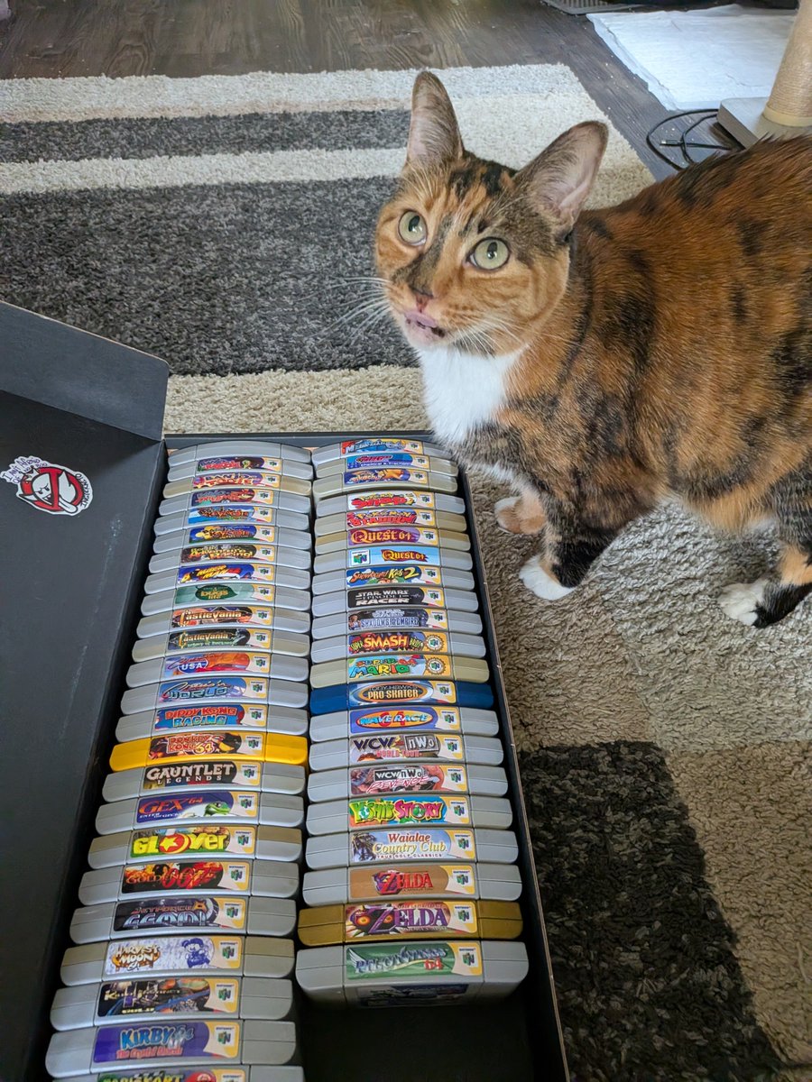 Kuriie's tweet photo. Julee is as excited about my new additions to my N64 collection as I am.  👅🐈 https://t.co/Sl2BPToHvX